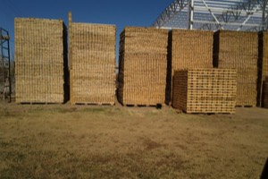 Stacks Image 1039